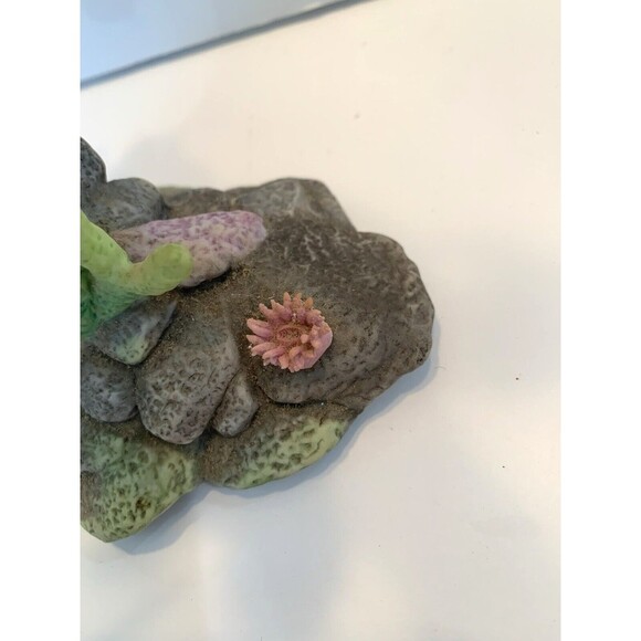 Vintage 1994 Wonders of the Green Sea Turtle Studio Design Porcelain Figurine - Picture 6 of 12